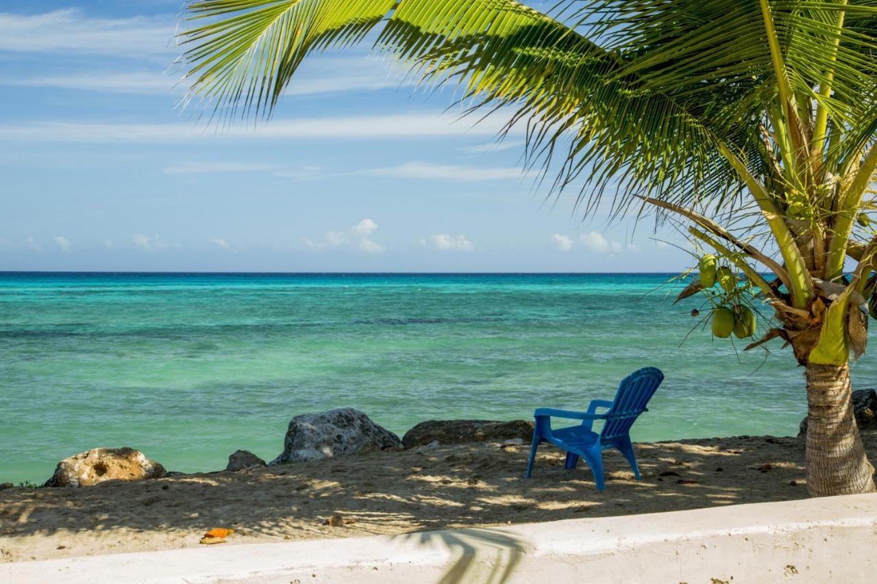 Calypso Villa Jamaica Montego Bay Eksteriør billede